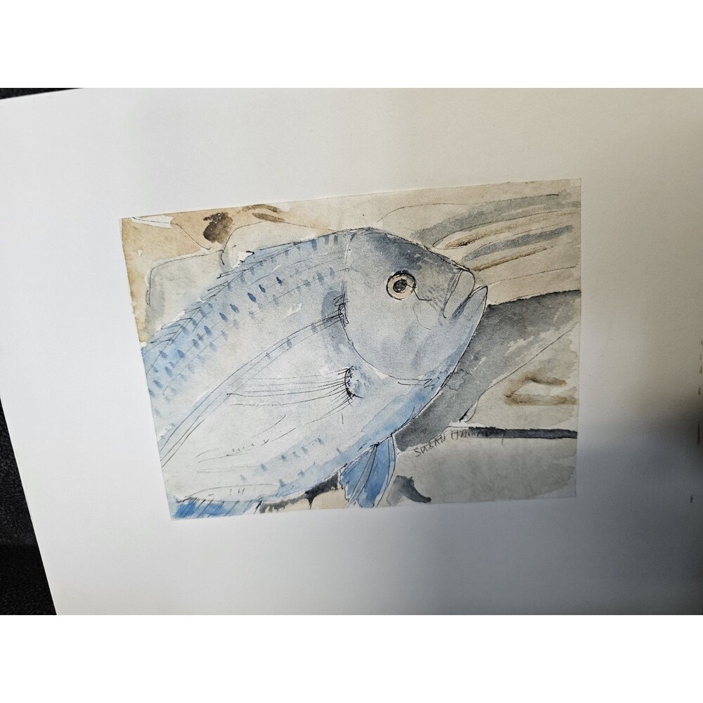 Susan Hamady Fish Watercolor Small On Board Saltwater?